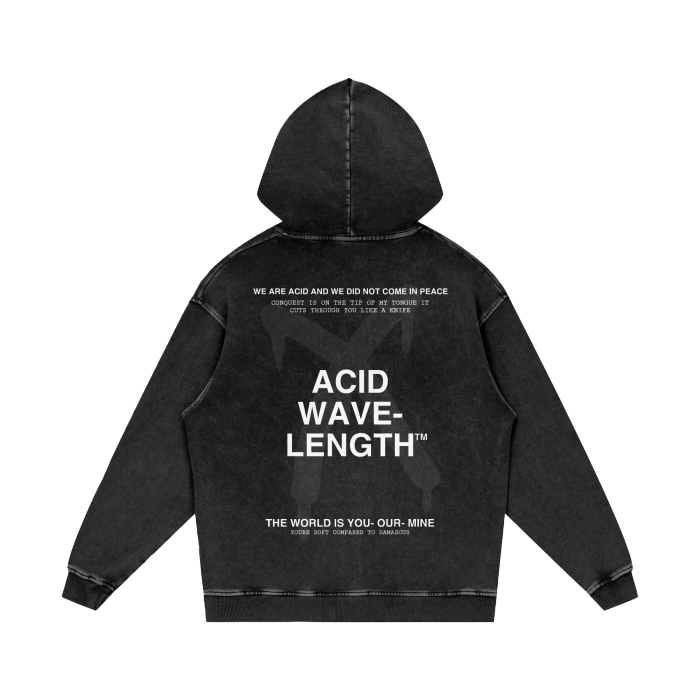WORLD ORDER HOODIE